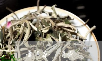 普洱茶 消费/2023042935980